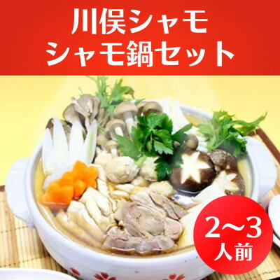 川俣シャモ　シャモ鍋セット　2〜3人前【配送不可地域：離島】【1064180】