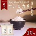 【ふるさと納税】川俣町産 コシヒカリ 10kg 精米【1682414】