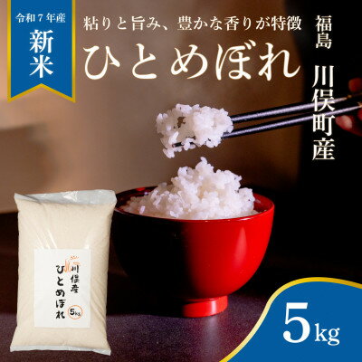 【ふるさと納税】川俣町産 ひとめぼれ 精米 5kg【1682428】