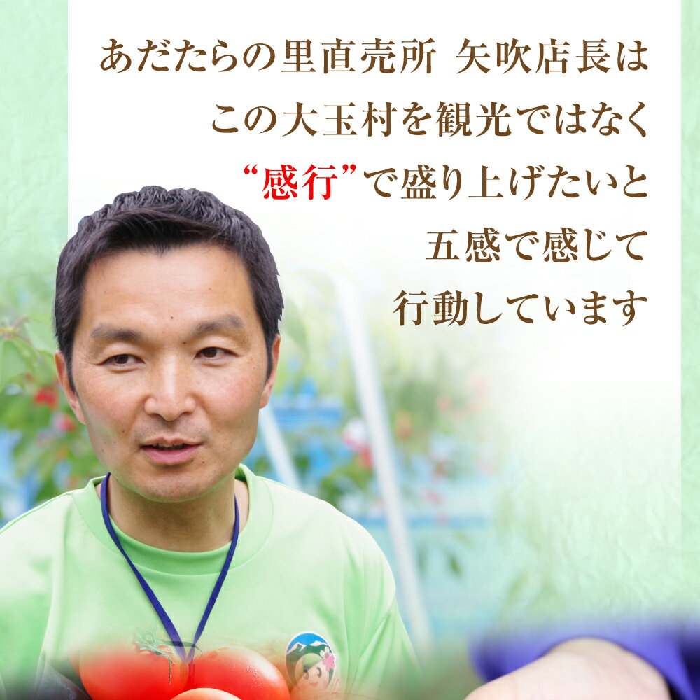 【ふるさと納税】 もったいない野菜 野菜セット （5種類程度） 野菜 新鮮 訳あり 食べ切り SDGs フードロス 【01105】