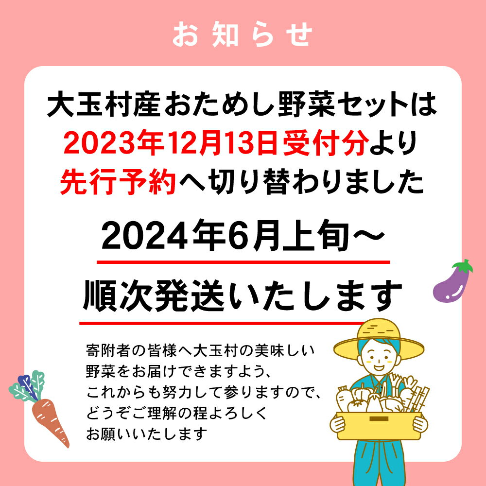 【ふるさと納税】 野菜セット 【令和6年度 先行予約 】 お試し 大玉村産 旬の野菜（10種類前後） 野菜 詰め合わせ SDGs 【01104】 鍋 送料無料 5000円 葉物 採れたて 新鮮 トマト 玉ねぎ ナス ピーマン