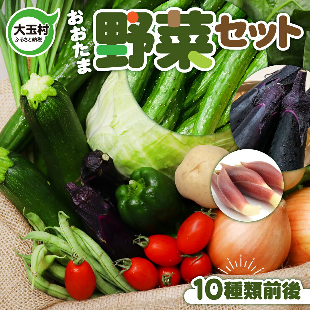 8位! 口コミ数「84件」評価「4.2」 野菜セット お試し 大玉村産 旬の野菜（10種類前後） 野菜 詰め合わせ SDGs 【01104】 セット 送料無料 5000円 葉物 採･･･ 