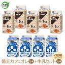 12位! 口コミ数「0件」評価「0」 酪王カフェオレ （300ml×5本） 牛乳 （300ml×4本） 9本 セット【01132】 酪王 コーヒー カフェオレ 珈琲 生乳 ミル･･･ 