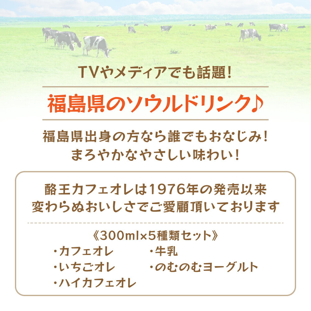 【ふるさと納税】 酪王カフェオレ バラエティ 15本セット 5種類 （300ml×各3本） カフェオレ セット バラエティ いちご ヨーグルト【01133】 酪王 詰め合わせ 牛乳 生乳 ミルク のむヨーグルト コーヒー 珈琲 ご当地 乳飲料 飲み比べ