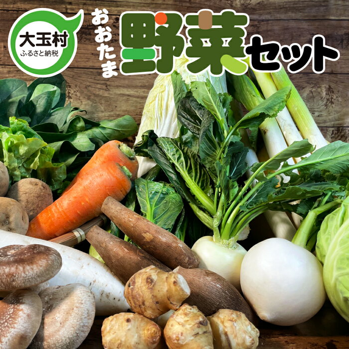 【ふるさと納税】 野菜 セット 朝どれ 詰め合わせ【01049】(10～12種類) お試し 新鮮 とれたて 旬 産直 人参 じゃがいも