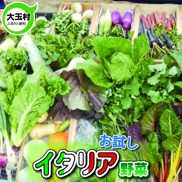 【ふるさと納税】お試し イタリア 野菜 セット 詰め合わせ (4~5種類)【01080】のサムネイル