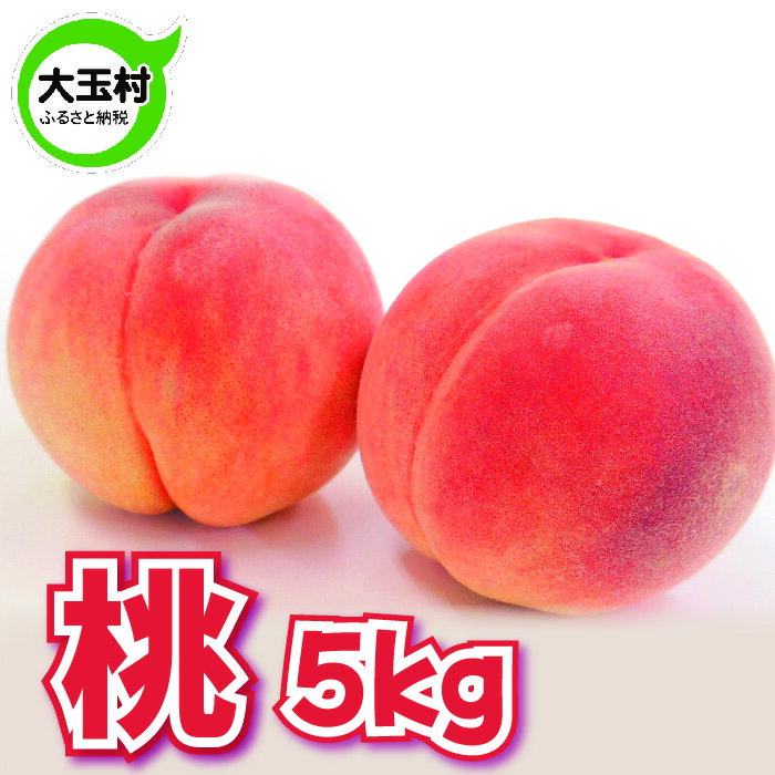 【ふるさと納税】【令和6年分 先行予約】福島県 大玉村産 桃 約5kg（15-18玉入） ※7月下旬以降順次発...