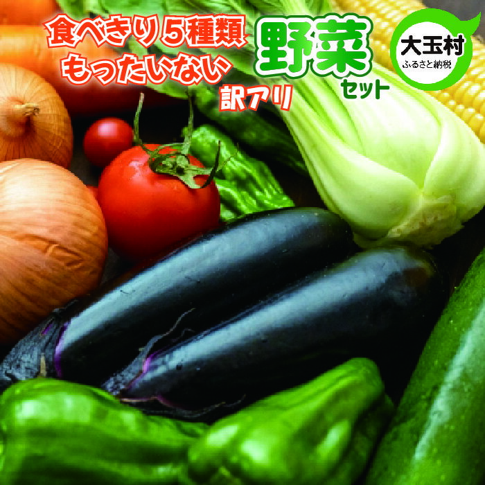 【ふるさと納税】もったいない野菜　野菜セット（5種類）　野菜　新鮮　訳あり　食べ切り　SDGs【01068】