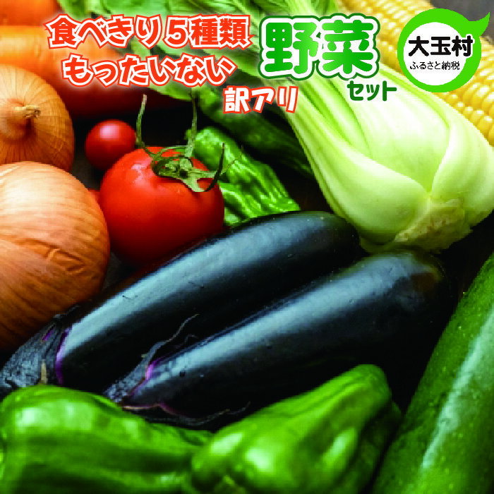 【ふるさと納税】もったいない野菜　野菜セット（5種類程度）　野菜　新鮮　訳あり　食べ切り　SDGs【01079】