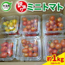 【ふるさと納税】 訳あり 野菜 ミニトマト 約 1kg もったいない野菜 数量限定 | 夏野菜 SDGs フードロス 食品ロス 規格外 傷 不揃い 家庭用 とまと プチトマト 期間限定 送料無料 新鮮 旬 5000円 以下 4000円 産地直送 大玉 大玉村 福島 | om-mtwa-R6