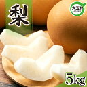 11位! 口コミ数「0件」評価「0」【令和7年分 先行予約】福島県 大玉村産 梨 ※9月以降順次発送 | フルーツ なし ナシ 旬 もぎたて 果実 果物 くだもの| om-ns05-R7