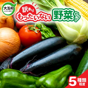 【ふるさと納税】訳あり 野菜セット ( 5種類程度 ) 4000円 野菜 使い切りサイズ フードロス 余剰野菜 少量セット 一人暮らし 食べ切り 食べ切り野菜 地元農家応援 不揃い 規格外 5000円 5000円以下 SDGs 福島県大玉村 送料無料 01105