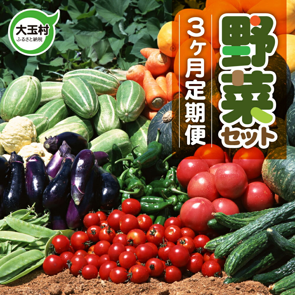 【ふるさと納税】【3ヶ月定期便】　野菜セット（10種類前後発送）　野菜　新鮮　直売所　直送　詰め合わせ　定期便【01107】 送料無料 葉物 新鮮 産直 採れたて トマト 玉ねぎ ナス ピーマン