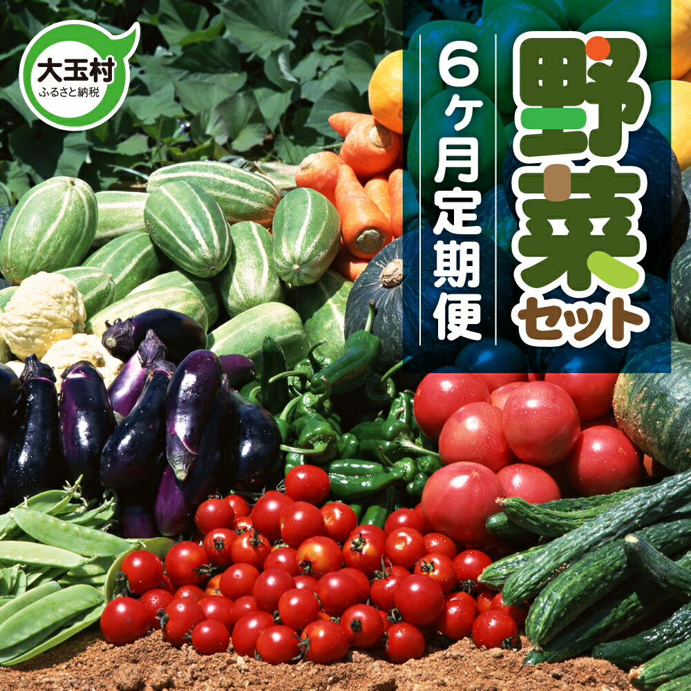 1位! 口コミ数「0件」評価「0」【6ヶ月定期便】　野菜セット（10種類前後発送）　野菜　新鮮　直売所　直送　詰め合わせ　定期便 【01108】 送料無料 葉物 新鮮 産直 ･･･ 