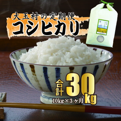 【令和5年産】【 農業生産法人 農作業互助会 のお米】 コシヒカリ 30kg（毎月10kg×3回）【06505】 ｜ お米 令和5年産 精米 白米 米 定期 定期便 ｜