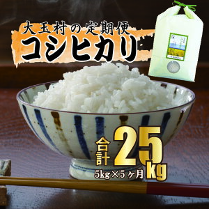 【ふるさと納税】【令和5年産】【 農業生産法人 農作業互助会 のお米】 コシヒカリ 25kg（毎月5kg×5回）【06506】 ｜ お米 令和5年産 精米 白米 米 定期 定期便 ｜