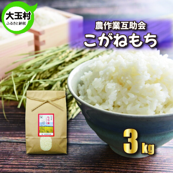 [令和5年産][ 農業生産法人 農作業互助会 のお米] こがねもち 3kg[06441] | お米 令和5年産 精米 もち米 もち 餅米 もちごめ おこわ