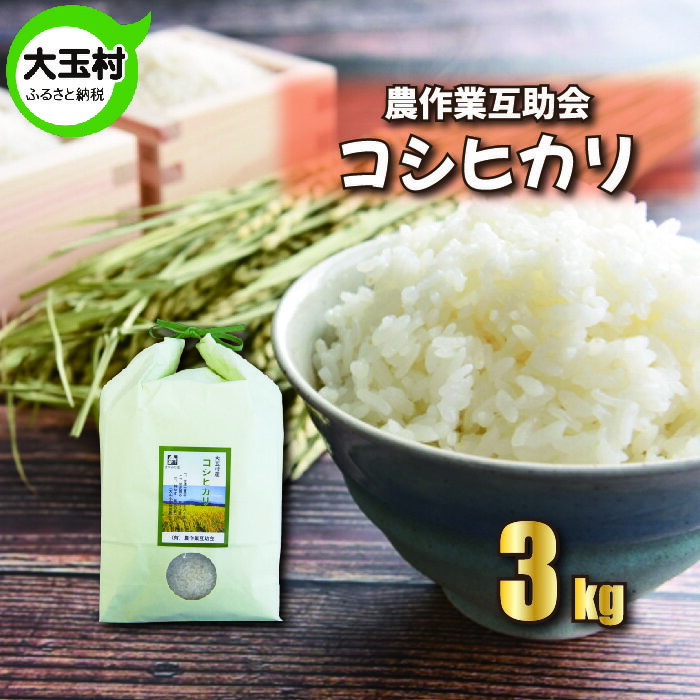 [令和5年産][ 農業生産法人 農作業互助会 のお米] コシヒカリ 3kg[06401] | お米 令和5年産 精米 白米 米