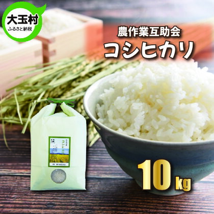 【令和5年産】【 農業生産法人 農作業互助会 のお米】 コシヒカリ 10kg【06403】 ｜ お米 令和5年産 精米 白米 米 ｜