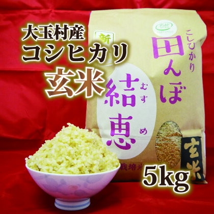 【 おいしいお米 コンクール 受賞米 あだたらドリームアグリ （株）】 コシヒカリ 玄米 5kg【07412】 ｜ お米 令和5年産 米 ｜