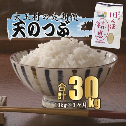 【令和5年産】【 おいしいお米 コンクール 受賞米 あだたらドリームアグリ (株) 】 天のつぶ 30kg（毎月10kg×3回）【07525】 ｜ お米 令和5年産 精米 白米 米 定期 定期便 おいしいお米コンクール受賞 ｜