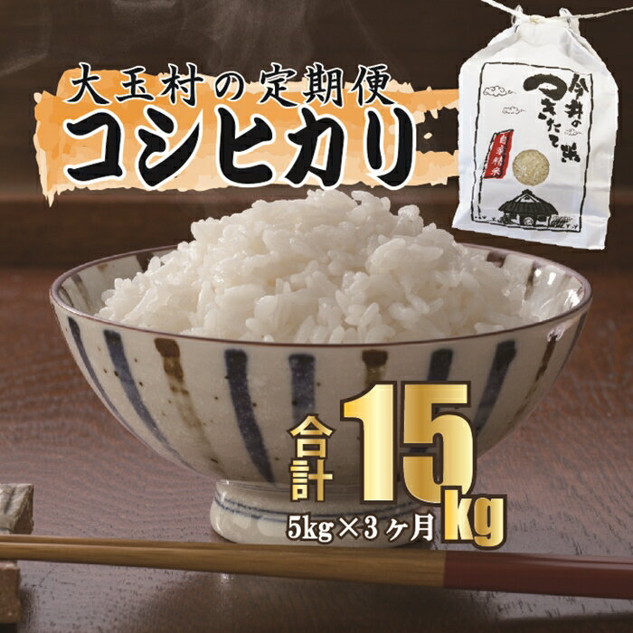 【ふるさと納税】【令和5年産・お米】【今井のつきたて米】 コシヒカリ 15kg（毎月5kg×3回）【08504】 ｜ お米 令和5年産 精米 白米 米 定期便 定期 ｜ 1