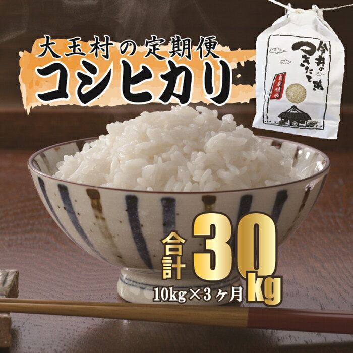 【ふるさと納税】【令和5年産・お米】【今井のつきたて米】 コシヒカリ　30kg（毎月10kg×3回）【08505】 ｜ お米 令和5年産 精米 白米 米 定期便 定期 ｜