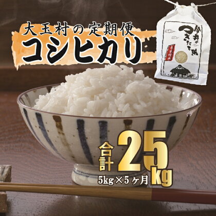 【令和5年産・お米】【今井のつきたて米】 コシヒカリ　25kg（毎月5kg×5回）【08506】 ｜ お米 令和5年産 精米 白米 米 定期便 定期 ｜