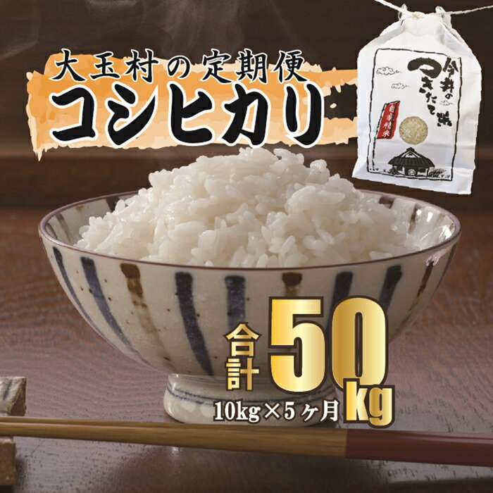 [令和5年産・お米][今井農園のお米] コシヒカリ 50kg(毎月10kg×5回)[08507] | お米 令和5年産 精米 白米 米 定期便 定期