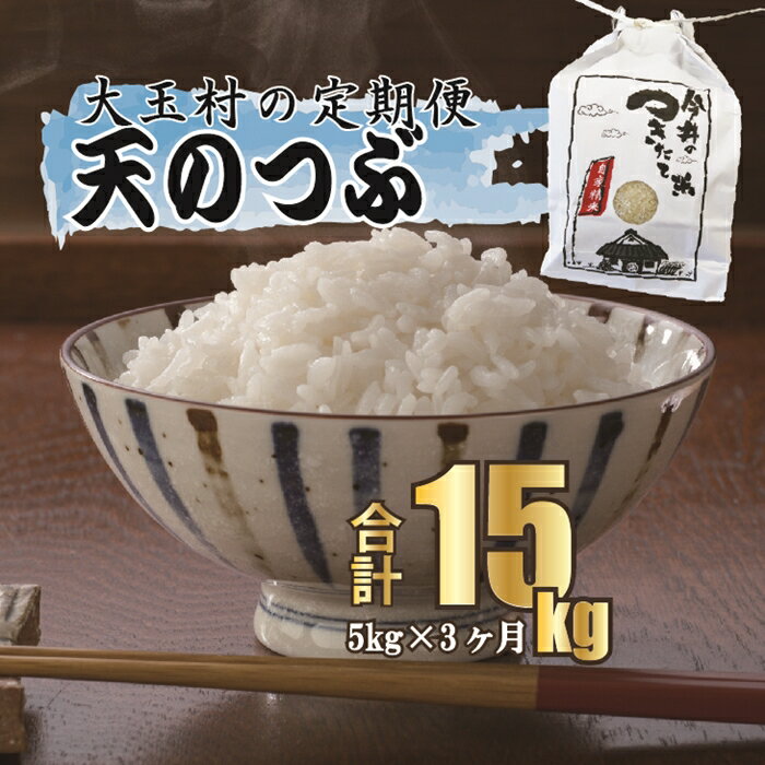 【ふるさと納税】【令和5年産】【 今井のつきたて米 】 天のつぶ 15kg （ 毎月5kg × 3回 ）【08524】 ｜ お米 令和5年産 精米 白米 米 定期 定期便 今井農園 ｜