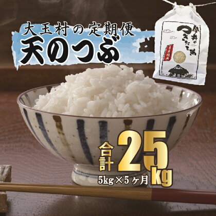 【令和5年産】【 今井のつきたて米 】 天のつぶ 25kg （ 毎月5kg × 5回 ）【08526】 ｜ お米 令和5年産 精米 白米 米 定期便 定期 今井農園 ｜