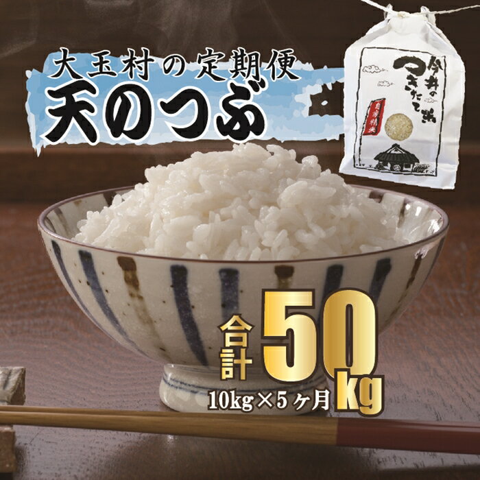 30位! 口コミ数「0件」評価「0」【令和5年産】【 今井のつきたて米 】 天のつぶ 50kg （ 毎月10kg × 5回 ）【08527】 ｜ お米 令和5年産 精米 白米 ･･･ 