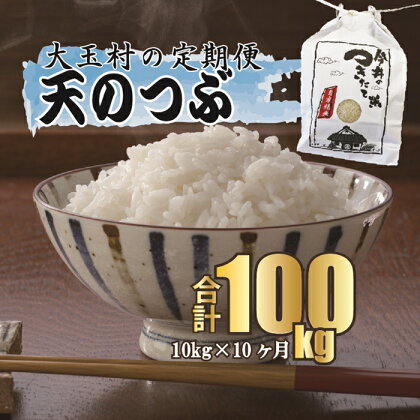 【令和5年産】【 今井のつきたて米 】 天のつぶ 100kg （ 毎月10kg × 10回 ）【08529】 ｜ お米 令和5年産 精米 白米 米 定期便 定期 今井農園 ｜