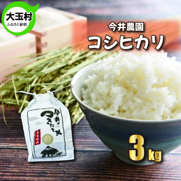 [令和5年産・お米][ 今井のつきたて米 ] コシヒカリ 3kg[08401] | お米 令和5年産 お米 精米 白米 米 今井農園