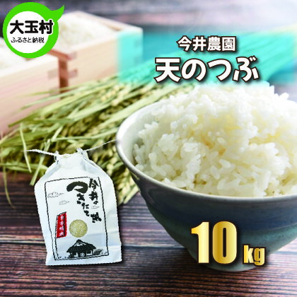 【令和5年産】【 今井のつきたて米 】 天のつぶ 10kg 【08423】 ｜ お米 令和5年産 精米 白米 米 今井農園 ｜