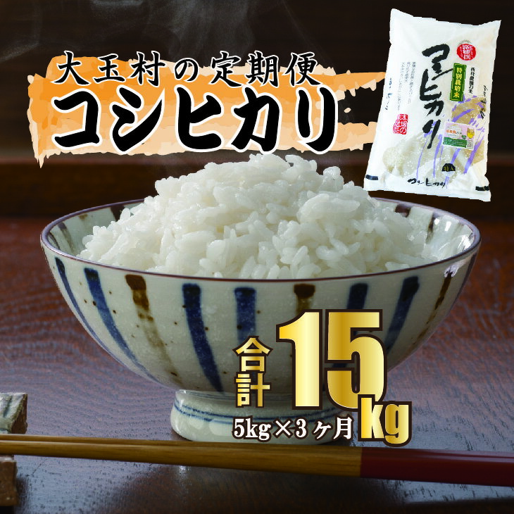 【ふるさと納税】【令和5年産・お米】【 西村農園のお米 】 コシヒカリ 15kg （ 毎月5kg × 3回 ）【09504】 ｜ お米 令和5年度産 精米 白米 定期便 定期 米 西村農園 ｜