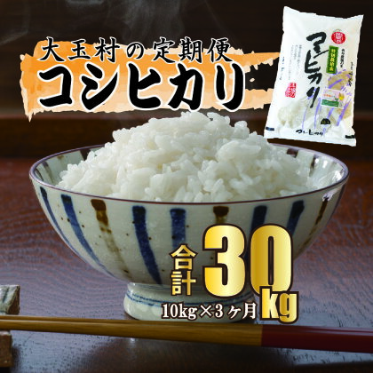 【令和5年産・お米】【 西村農園のお米 】 コシヒカリ 30kg （ 毎月10kg × 3回 ）【09505】 ｜ お米 令和5年度産 精米 白米 定期便 定期 米 西村農園 ｜