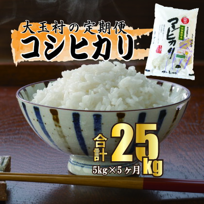 【令和5年産・お米】【 西村農園のお米 】 コシヒカリ 25kg （ 毎月5kg × 5回 ）【09506】 ｜ お米 令和5年度産 精米 白米 定期便 定期 米 西村農園 ｜