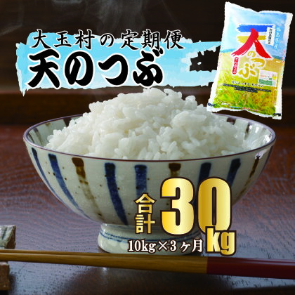 【 令和5年産 】【 西村農園のお米 】 天のつぶ 30kg （ 毎月10kg × 3回 ）【09525】 ｜ お米 令和5年度産 精米 白米 定期便 定期 米 西村農園 ｜