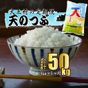 【ふるさと納税】米【令和3年産】【西村農園のお米】天のつぶ　50kg（毎月10kg×5回）【09327】