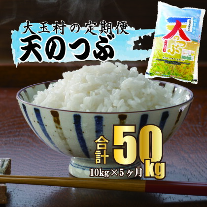 【 令和5年産 】【 西村農園のお米 】 天のつぶ 50kg （ 毎月10kg × 5回 ）【09527】 ｜ お米 令和5年度産 精米 白米 定期便 定期 米 西村農園 ｜