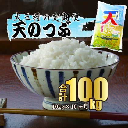 【 令和5年産 】【 西村農園のお米 】 天のつぶ 100kg （ 毎月10kg × 10回 ）【09529】｜ お米 令和5年度産 精米 白米 定期便 定期 米 西村農園 ｜