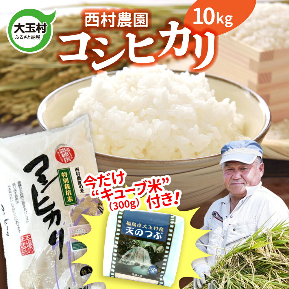 21位! 口コミ数「0件」評価「0」【令和5年産・お米】【西村農園のお米】 コシヒカリ 10kg（ 天のつぶ 300g 今だけ キューブ米 付き 期間限定 ）【09403】 ｜･･･ 