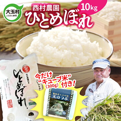 【令和5年産・お米】【西村農園のお米】 ひとめぼれ 10kg（ 天のつぶ 300g 今だけ キューブ米 付き 期間限定 ）【09413】 ｜ お米 令和5年産 精米 白米 米 西村農園 ｜