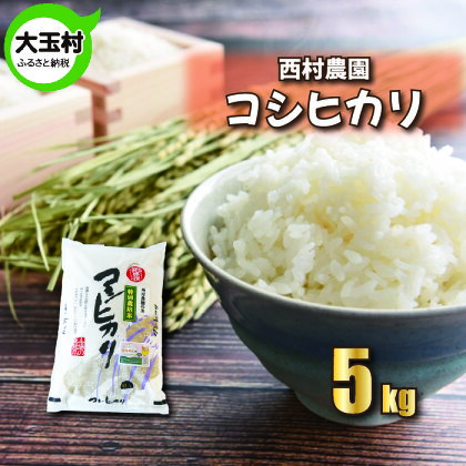 【令和5年産・お米】【西村農園のお米】 コシヒカリ 5kg 【09402】 ｜ お米 令和5年産 精米 白米 米 西村農園 ｜