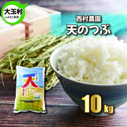 【 令和5年産 】【 西村農園のお米 】 天のつぶ 10kg 【09423】 ｜ お米 令和5年度産 精米 白米 米 西村農園 ｜