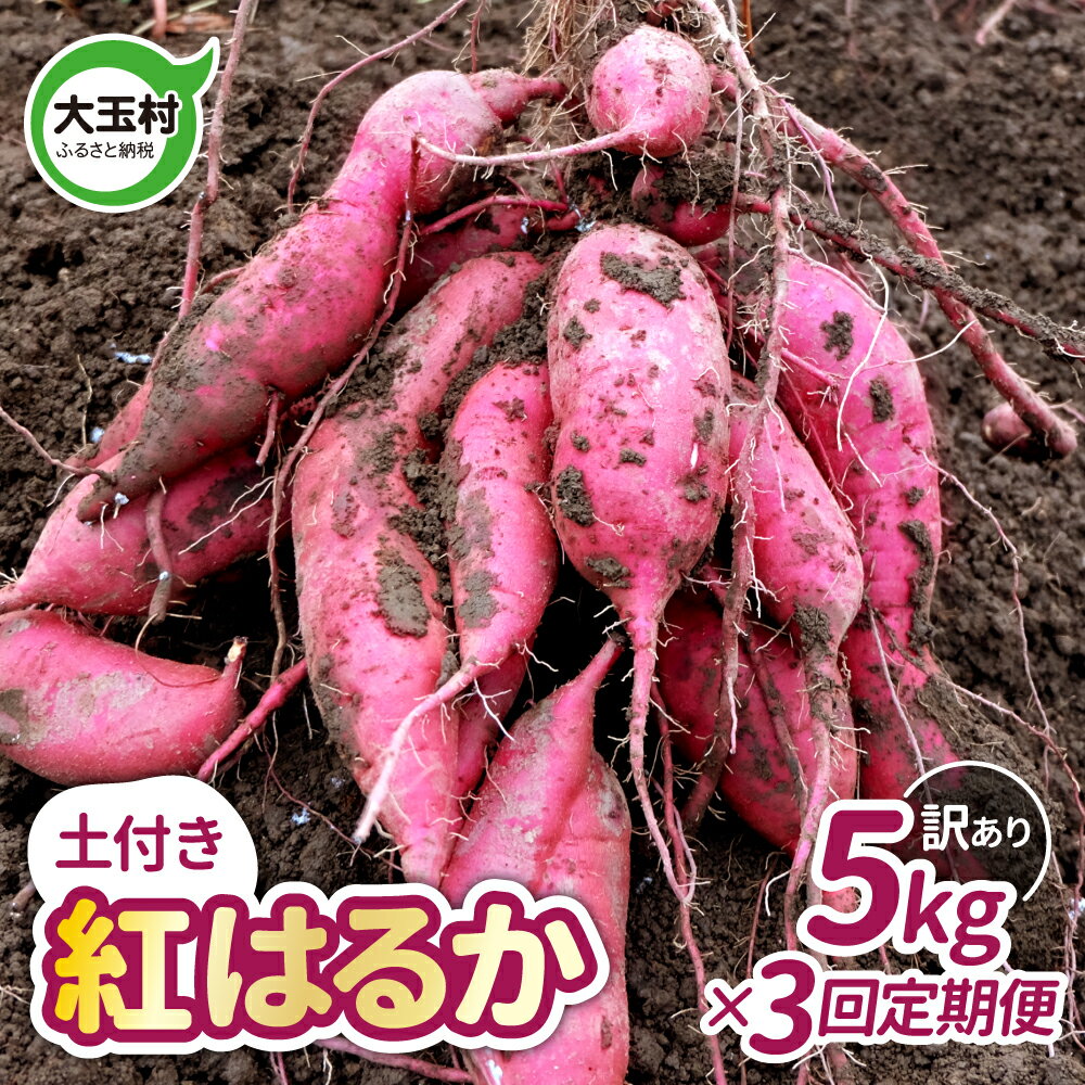 【ふるさと納税】訳あり 定期便 さつまいも 紅はるか 5kg ×3ヶ月 規格外 土付き さつま芋 焼き芋 やきいも 無農薬 【大玉村産】【14006】