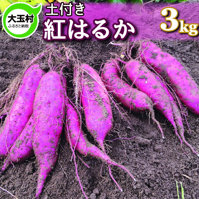 【ふるさと納税】訳あり さつまいも 紅はるか 3kg 規格外 土付き さつま芋 焼き芋 やきいも 無農薬 【14001】【大玉村産】