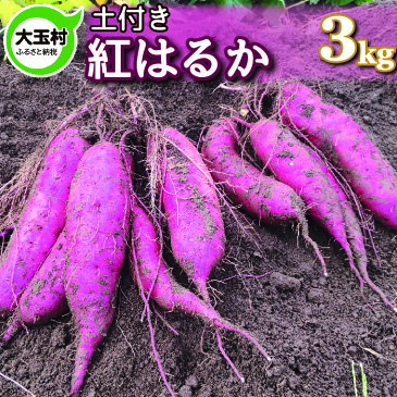 【ふるさと納税】訳あり さつまいも 紅はるか 3kg 規格外 土付き さつま芋 焼き芋 やきいも 無農薬 【14001】【大玉村産】