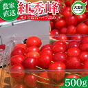 【ふるさと納税】 さくらんぼ 紅秀峰 500g 令和8年分 先行予約 バラ詰め サイズ混合(M/L/LL) | 朝採れ もぎたて 農家直送 産地直送 送料無料 ...